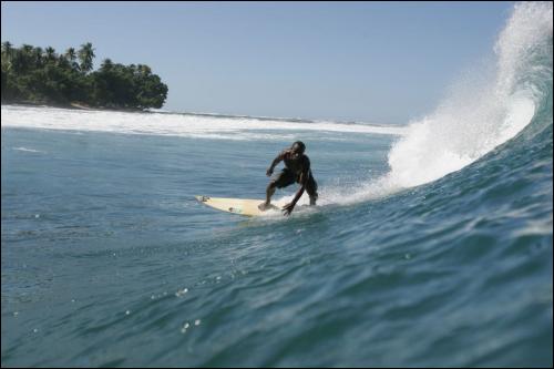 Sieplywa.pl - Windsurfing, Kitesurfing i Surfing w najlepszym wydaniu