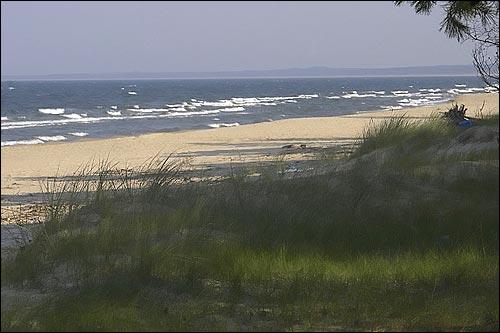 Plaża na Wyspie Sobieszewskiej