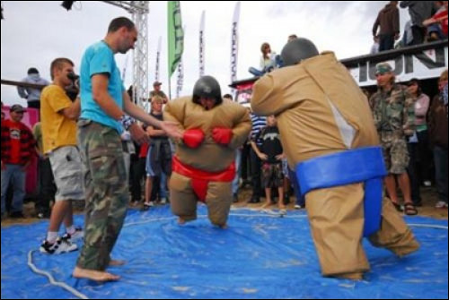 sumo_fight