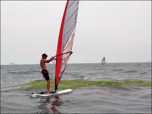 Sieplywa.pl - Windsurfing, Kitesurfing i Surfing w najlepszym wydaniu