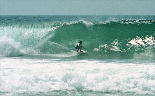 Sieplywa.pl - Windsurfing, Kitesurfing i Surfing w najlepszym wydaniu