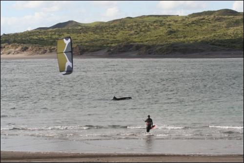 Sieplywa.pl - Windsurfing, Kitesurfing i Surfing w najlepszym wydaniu