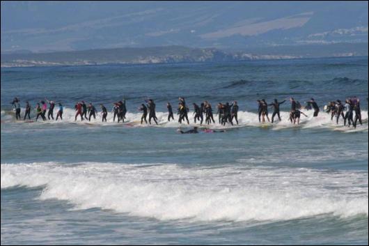 Sieplywa.pl - Windsurfing, Kitesurfing i Surfing w najlepszym wydaniu